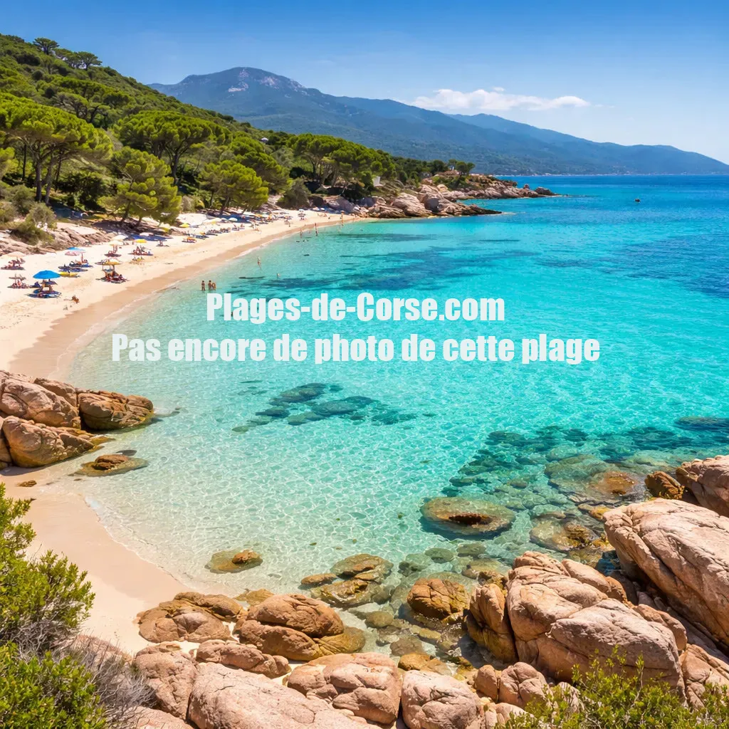 Plage d'Aregno (Algajola)