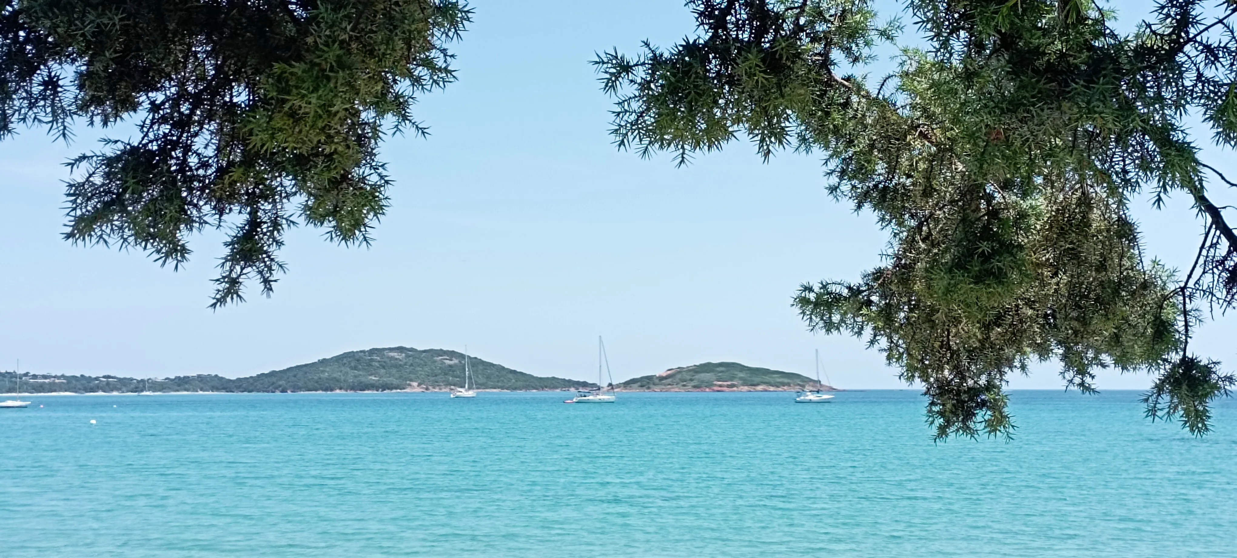 Plage de Saint-Cyprien - Vue 4