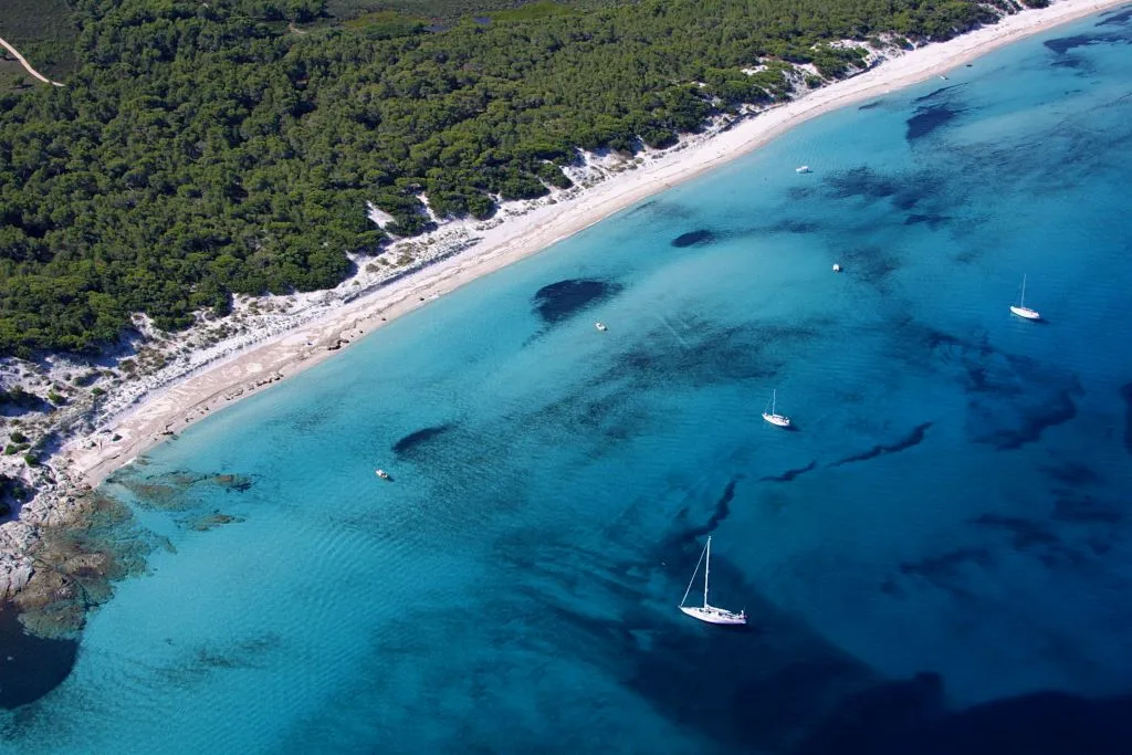 Plage de Saleccia - Vue 4